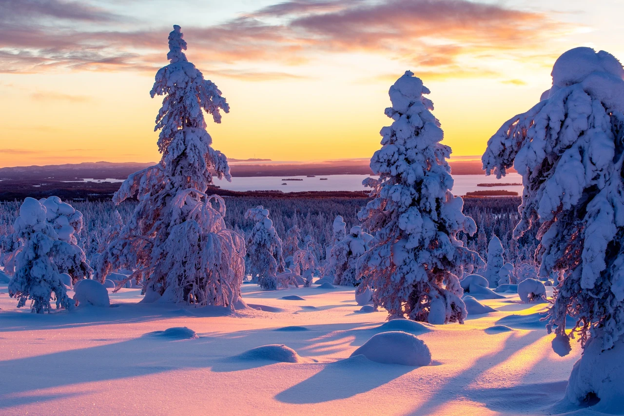 Loodusretk ''Talvine Lapimaa'' 07.02-14.02.2026 (Retk on toimunud)
